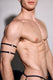 Muscular man wearing black harness straps, showing athletic torso and arm accessories