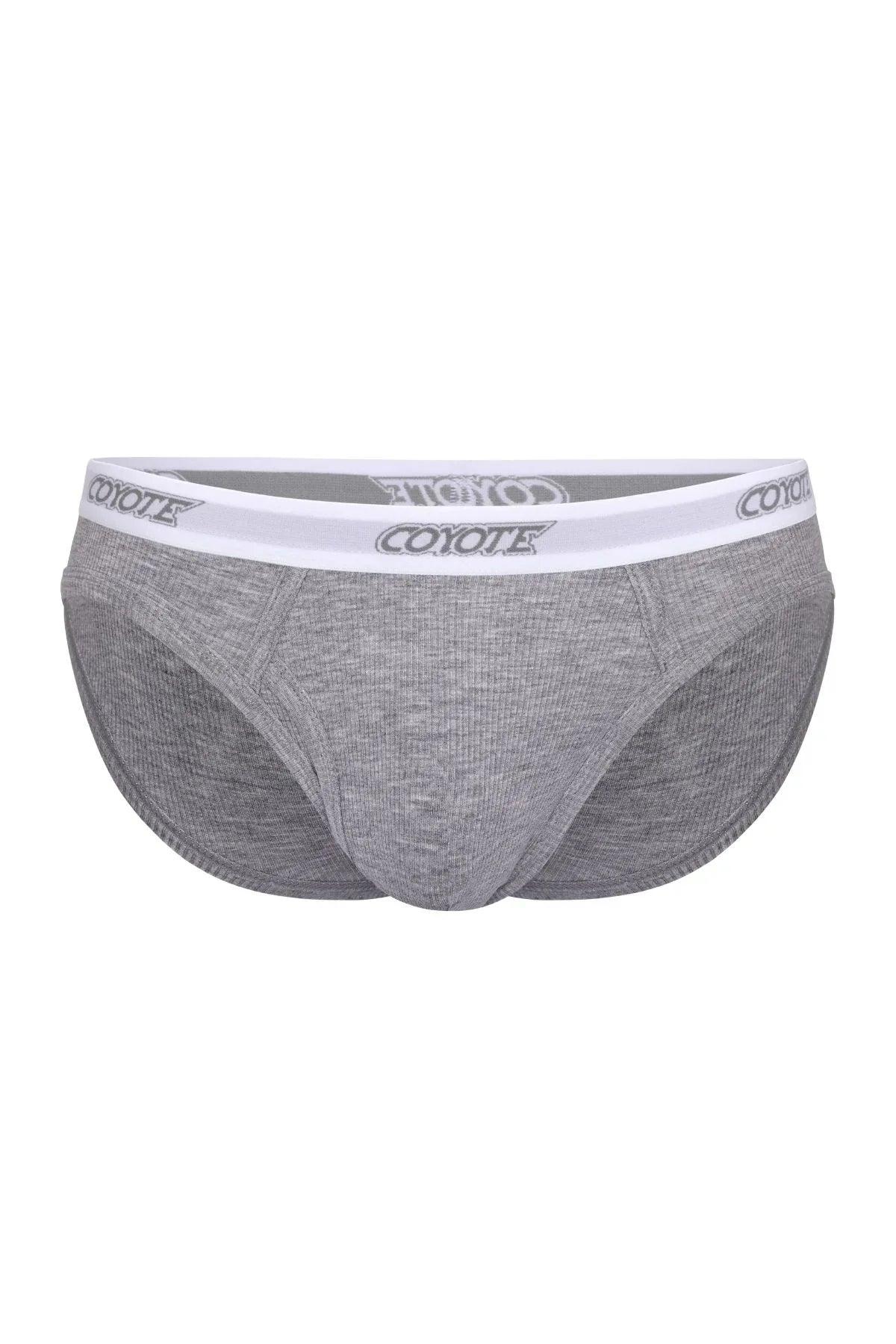 Grey men's brief underwear with white branded waistband on a plain background