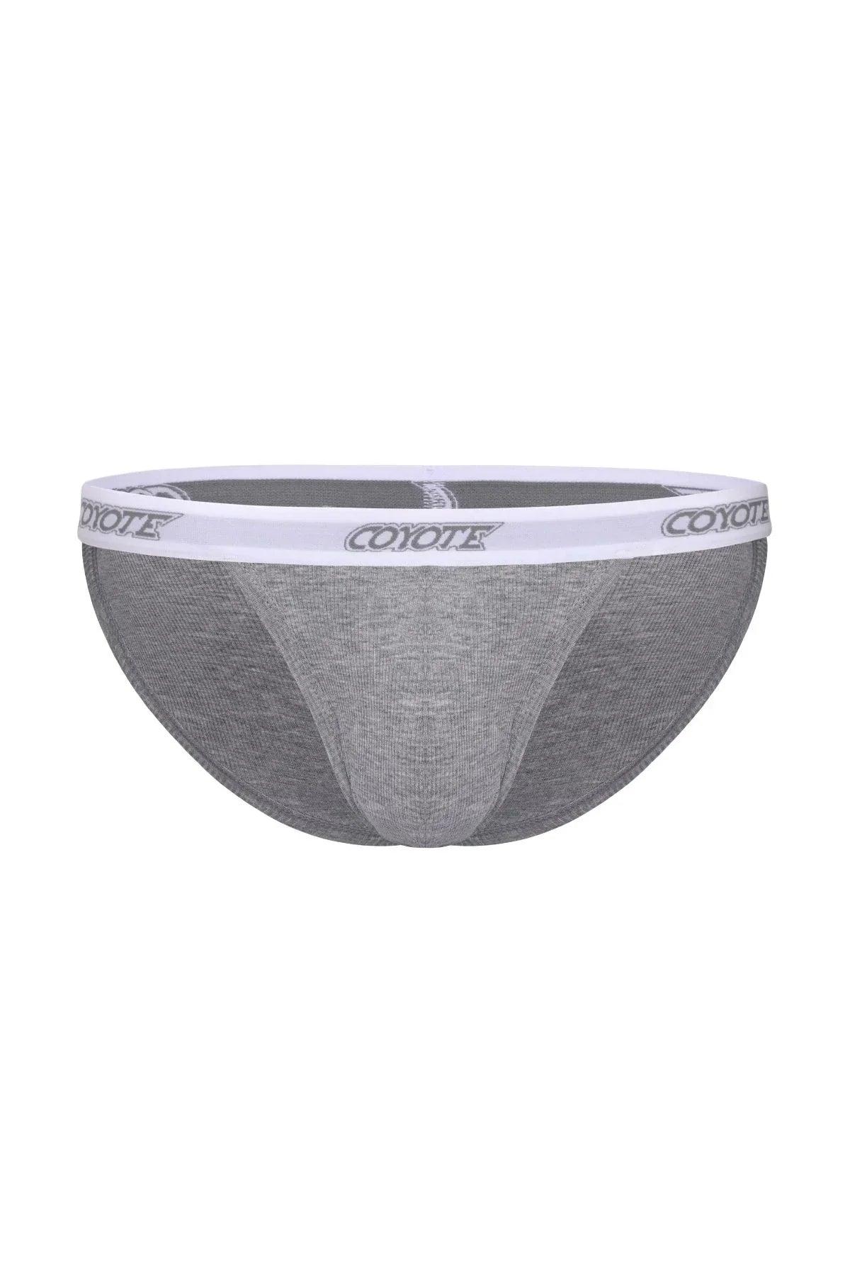 Gray men's sport brief underwear with white branded waistband, athletic cut, front view