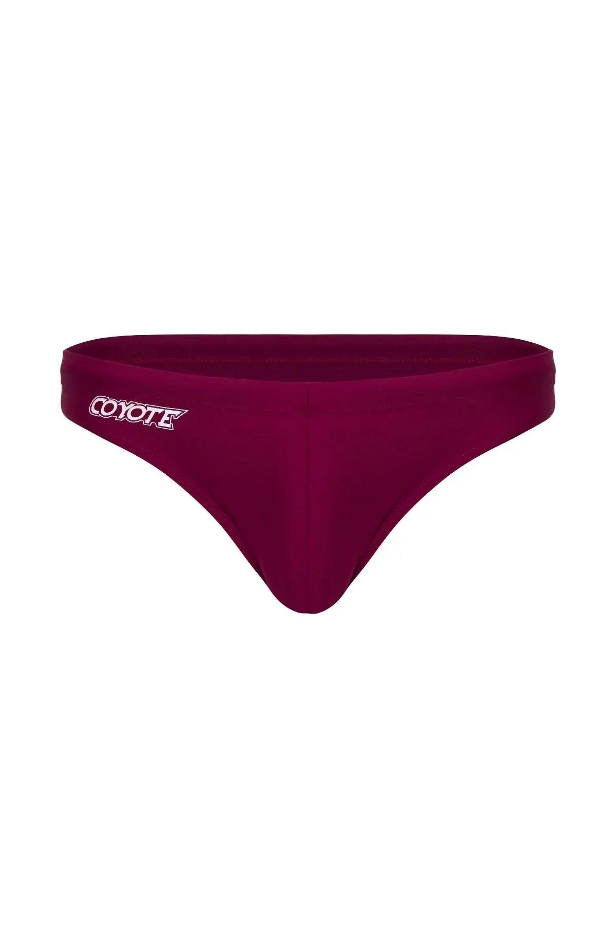Men's burgundy swim brief with low-rise cut and logo on waistband, front view