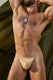 Man wearing tan micro bikini underwear, dog tags, and posing shirtless outdoors
