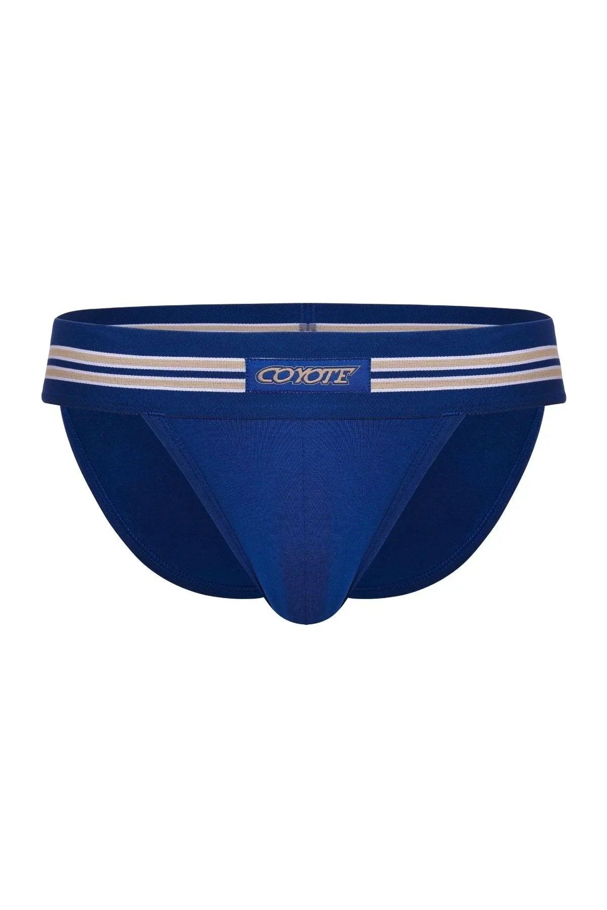 Royal blue men's sport brief with white striped waistband and front logo patch