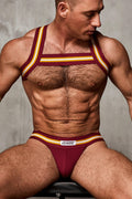Varsity Harness | Burgundy