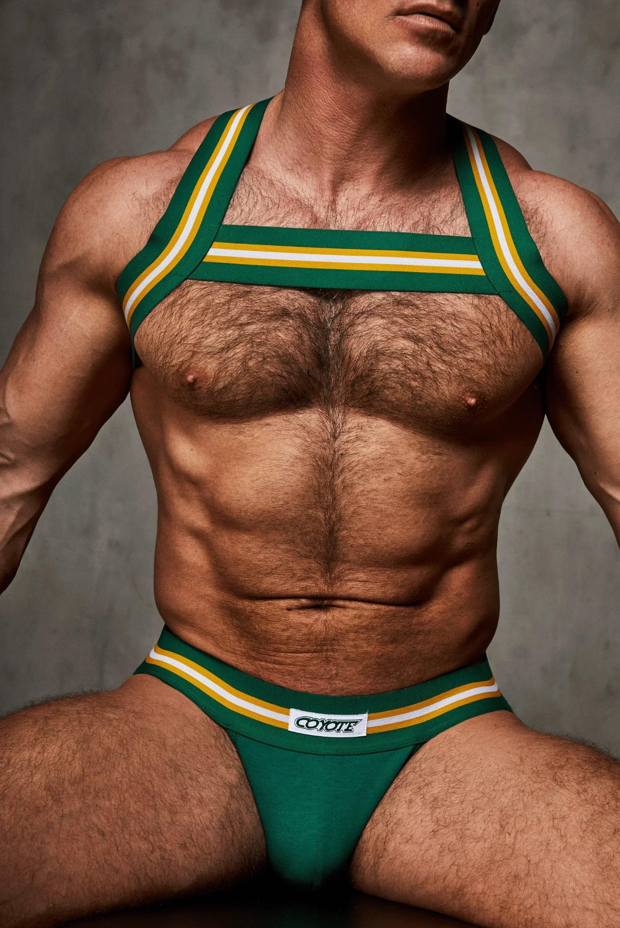 Muscular man wearing green striped harness and matching underwear with white and yellow accents